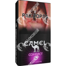 Camel Compact Activate Purple